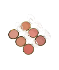 MISS ROSE BLUSH FASHION 070